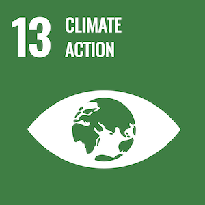 frankly_green-SDG-Goal-13